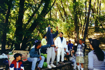 Click here to see the enlarged picture